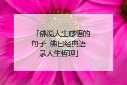 佛说人生感悟的句子 佛曰经典语录人生哲理
