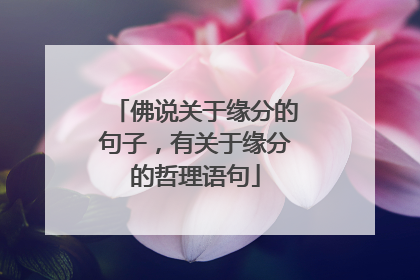 佛说关于缘分的句子，有关于缘分的哲理语句