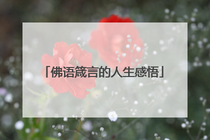 佛语箴言的人生感悟