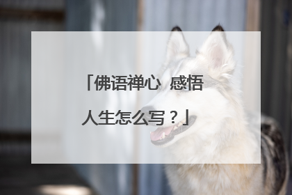 佛语禅心 感悟人生怎么写?