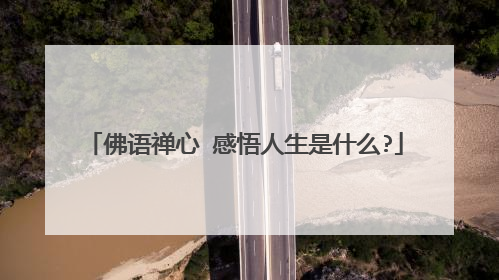 佛语禅心 感悟人生是什么?