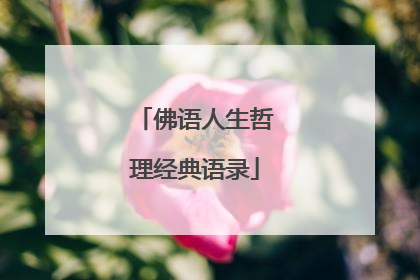 佛语人生哲理经典语录