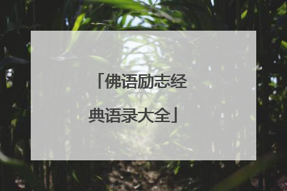 佛语励志经典语录大全