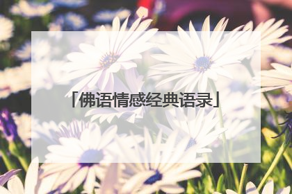 佛语情感经典语录