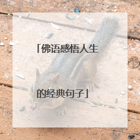 佛语感悟人生的经典句子