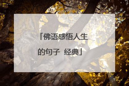 佛语感悟人生的句子 经典