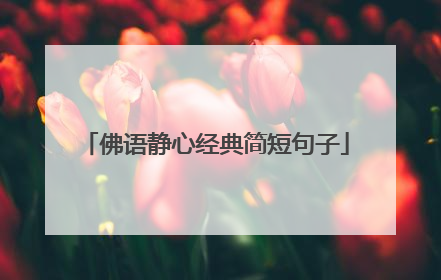 佛语静心经典简短句子