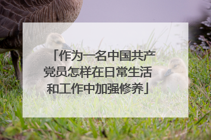 作为一名中国共产党员怎样在日常生活和工作中加强修养