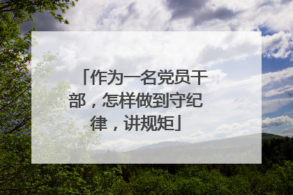 作为一名党员干部,怎样做到守纪律,讲规矩