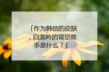 作为韩信的皮肤，白龙吟的背景故事是什么？