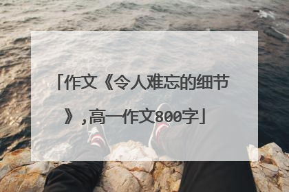 作文《令人难忘的细节》,高一作文800字