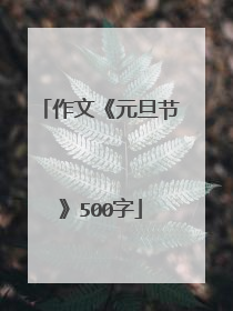 作文《元旦节》500字