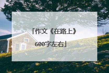 作文《在路上》600字左右