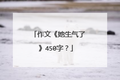 作文《她生气了》450字？