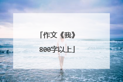 作文《我》 800字以上