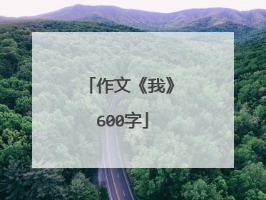作文《我》600字