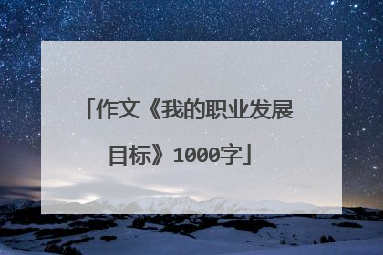 作文《我的职业发展目标》1000字