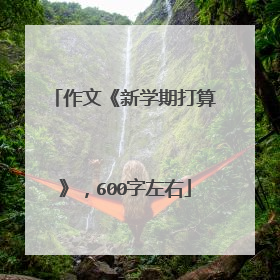 作文《新学期打算》，600字左右