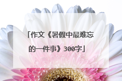 作文《暑假中最难忘的一件事》300字