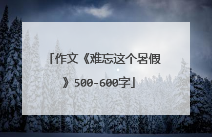 作文《难忘这个暑假》500-600字