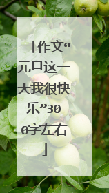 作文“元旦这一天我很快乐”300字左右