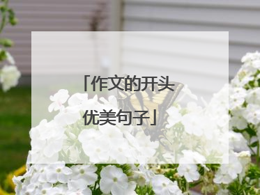 作文的开头优美句子