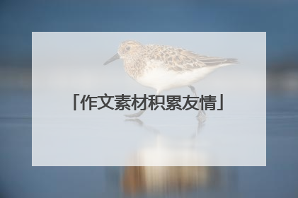 作文素材积累友情