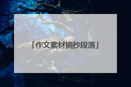 作文素材摘抄段落
