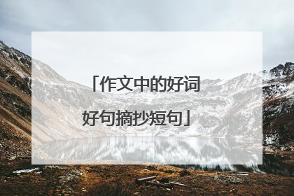 作文中的好词好句摘抄短句