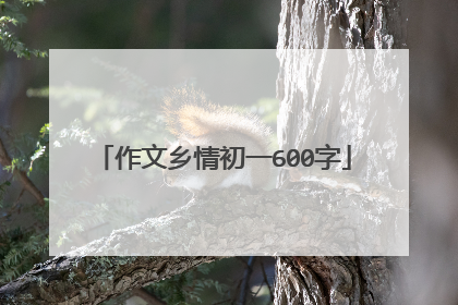 作文乡情初一600字