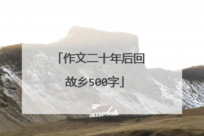 作文二十年后回故乡500字
