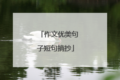 作文优美句子短句摘抄