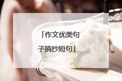 作文优美句子摘抄短句