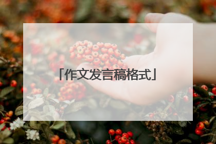作文发言稿格式