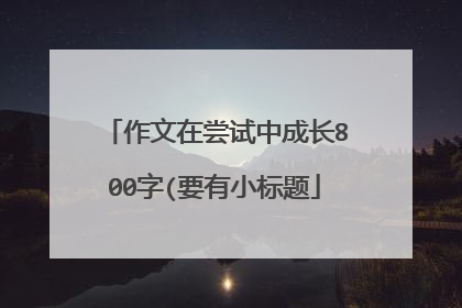 作文在尝试中成长800字(要有小标题