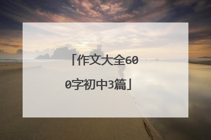 作文大全600字初中3篇