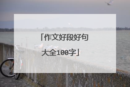 作文好段好句大全100字