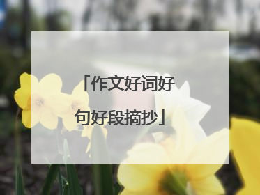 作文好词好句好段摘抄