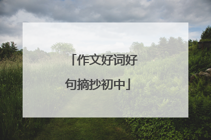作文好词好句摘抄初中