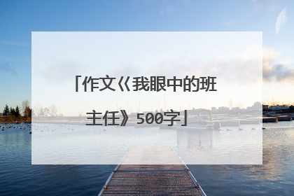 作文巜我眼中的班主任》500字