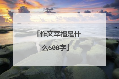 作文幸福是什么600字