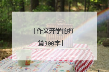 作文开学的打算300字