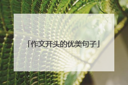 作文开头的优美句子