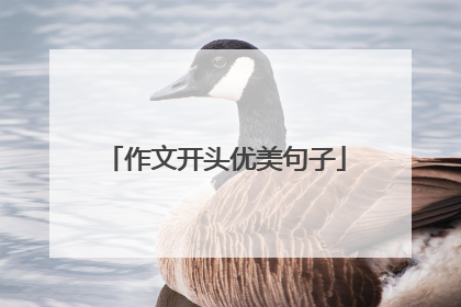 作文开头优美句子