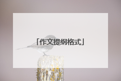 作文提纲格式