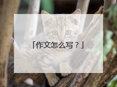 作文怎么写？