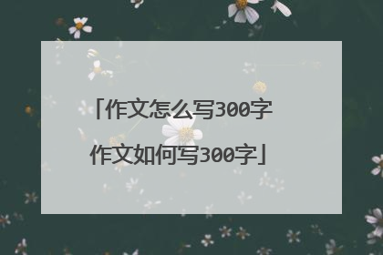 作文怎么写300字 作文如何写300字