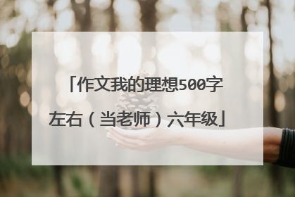 作文我的理想500字左右(当老师)六年级