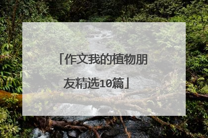 作文我的植物朋友精选10篇