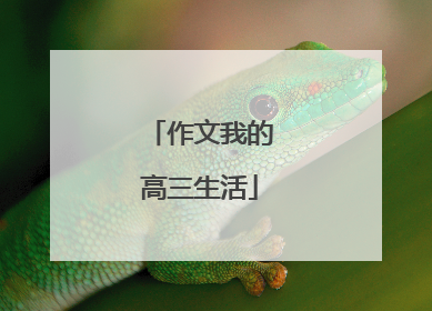 作文我的高三生活